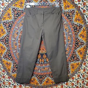 Jones New York Signature Petite Brown Cropped Pants Womens Size 6P